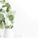 Heather Ford Yahlwesejxo Unsplash Scaled 1